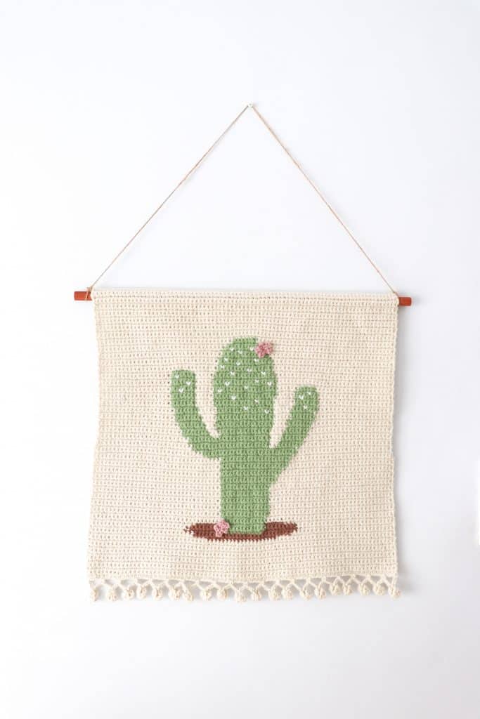 crochet cactus wall hanging